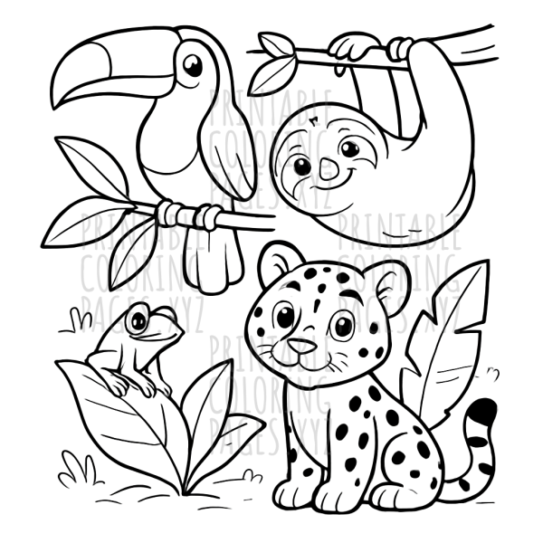 Wild Wonders of the Amazon Rainforest