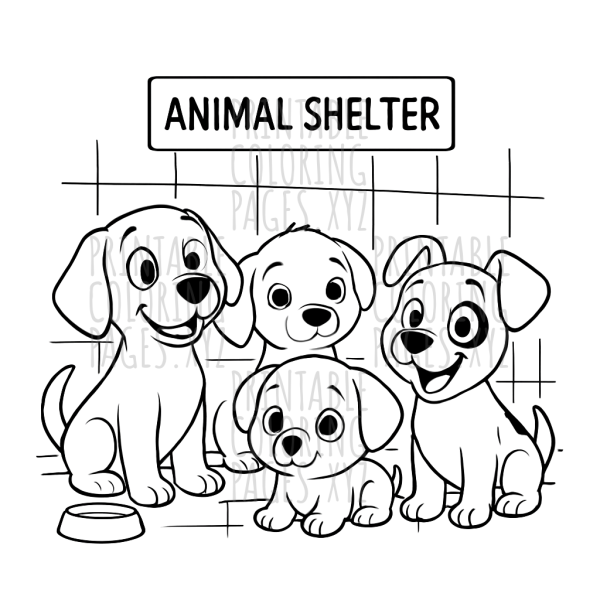 Heartwarming Animal Shelter Puppies