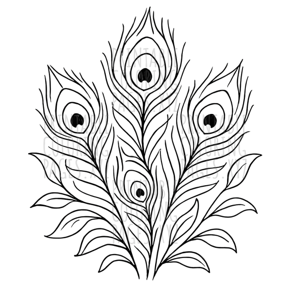 Elegant Art Nouveau Peacock Feathers for Creative Coloring
