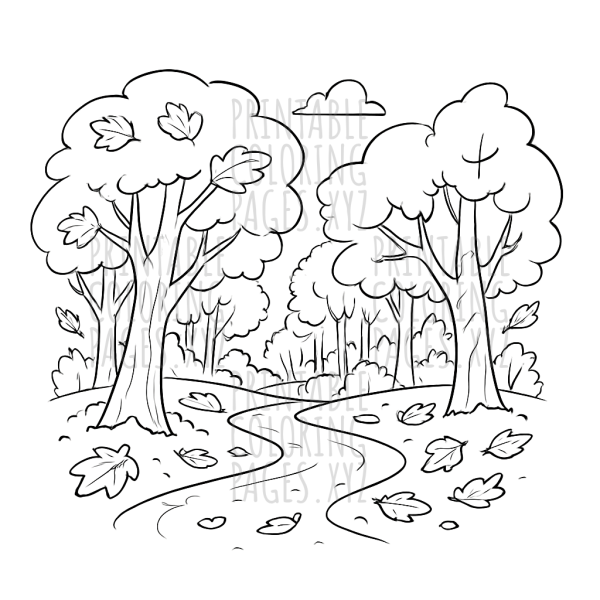 Serene Autumn Forest Trail Adventure