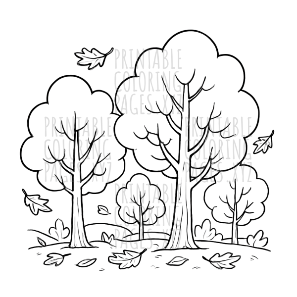 Stunning Autumn Forest Trees Scene