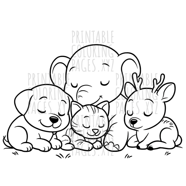 Cozy Baby Animals Napping Together