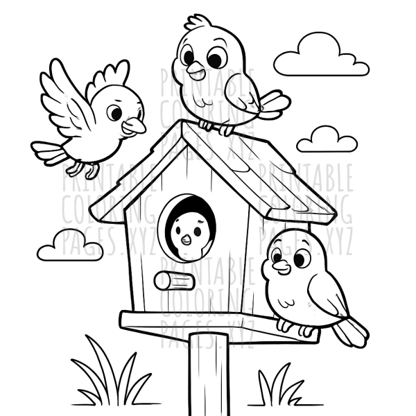 Charming Birdhouse and Feathered Friends