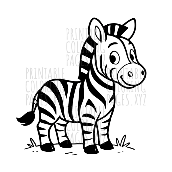 Striking Zebra Stripe Patterns to Color