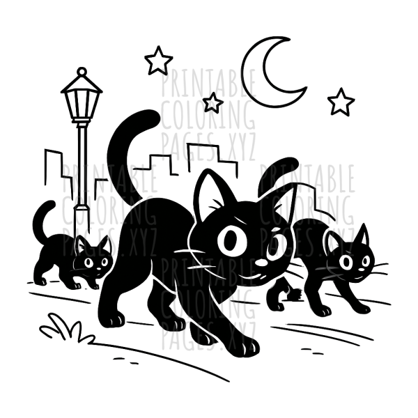 Midnight Adventure of the Black Cats