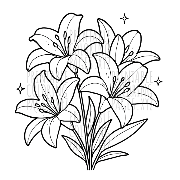 Graceful Blooming Lily Flower Bouquet