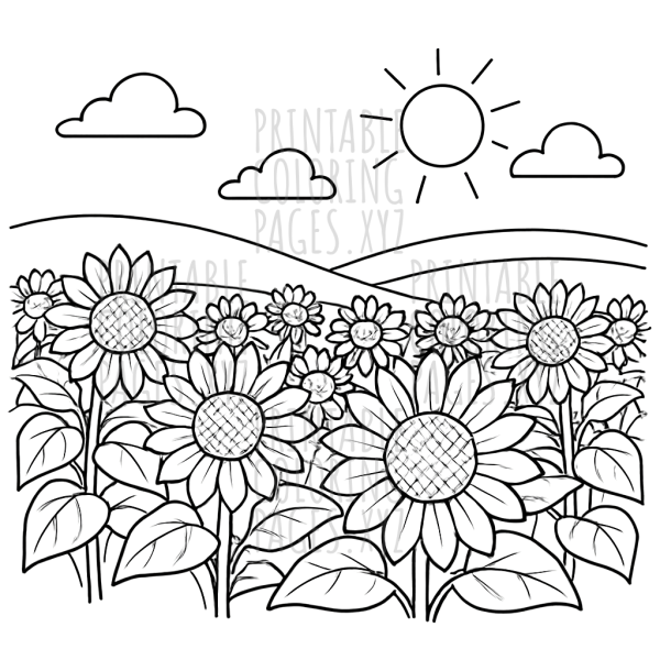 Blooming Sunflower Field Landscape Coloring Page
