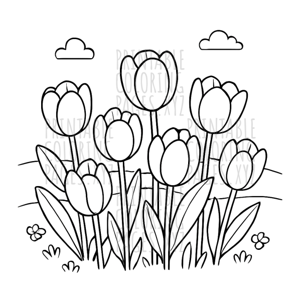Springtime Blooms in a Vibrant Tulip Garden