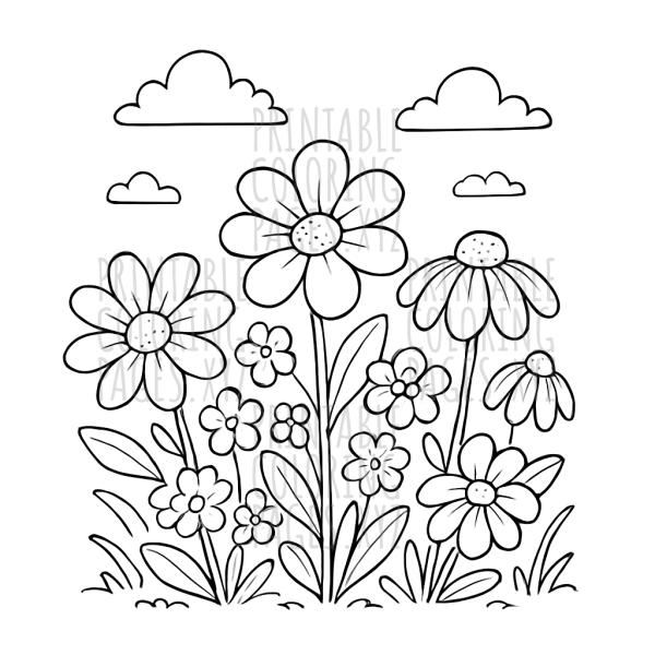 Sunny Flower Meadow Adventure