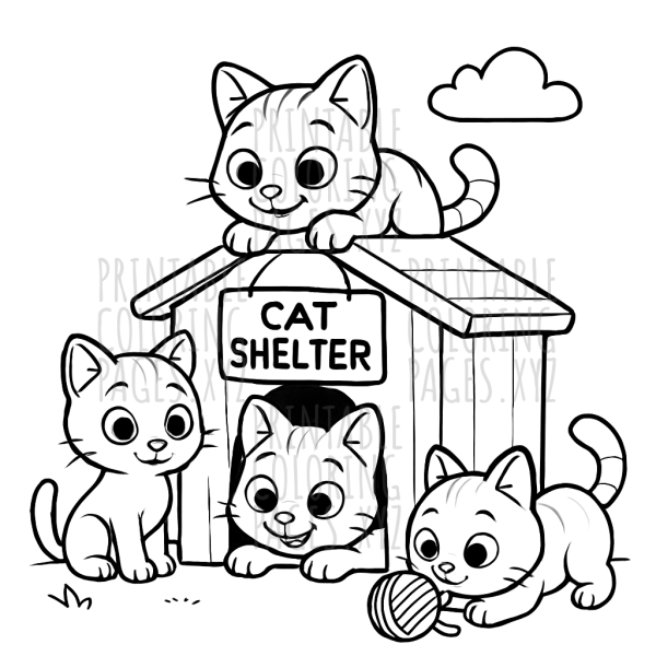 Cozy Kitten Haven
