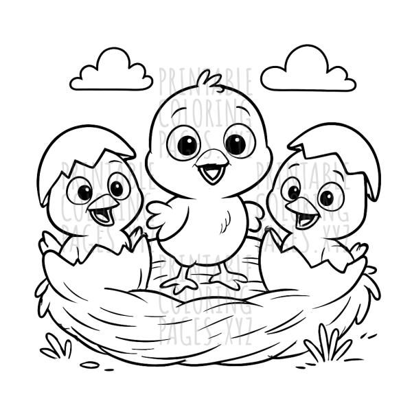 New Life in the Nest: Chicks Hatching Coloring Adventure