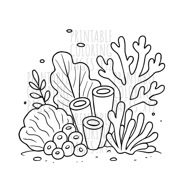 Underwater Adventures in a Colorful Coral Reef