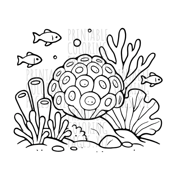 Underwater Wonders: Deep Ocean Coral Reef Adventure
