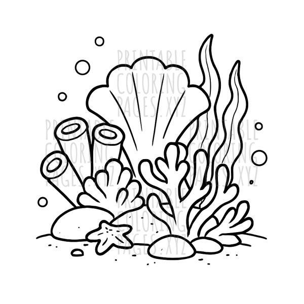 Underwater Wonders of the Deep Sea Coral Reef