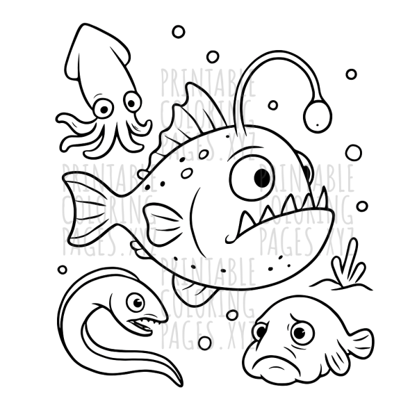 Explore the Mysteries of Deep Sea Creatures