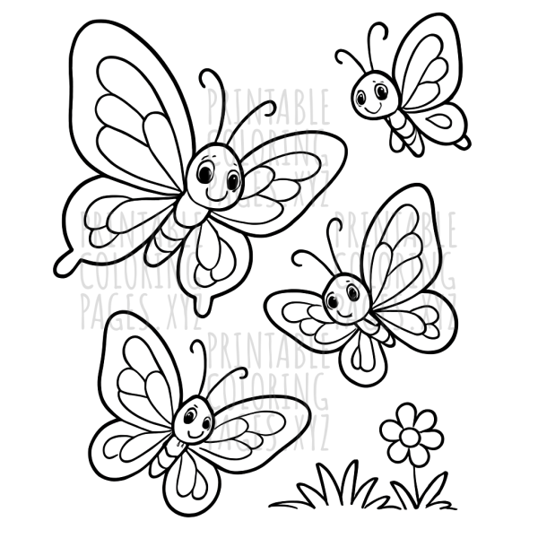 Delicate Butterfly Collections of Nature