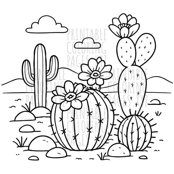 Blooming Desert Cactus Garden Adventure