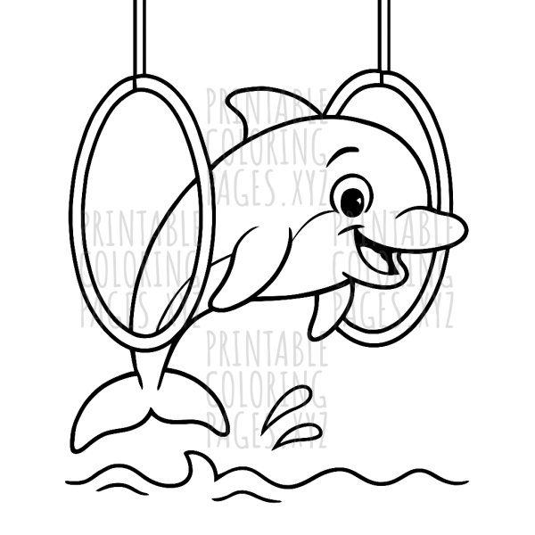 Dolphin Leaping Through Hoops Adventure