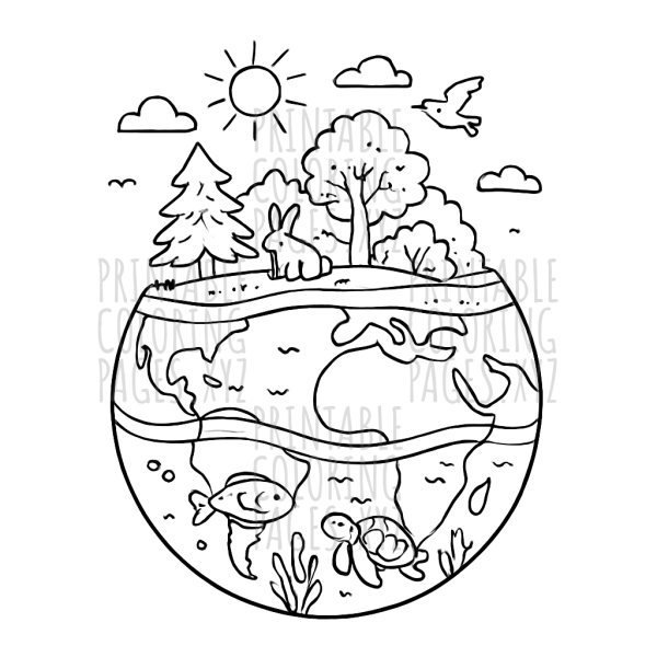 Discover Earth’s Ecosystem Layers