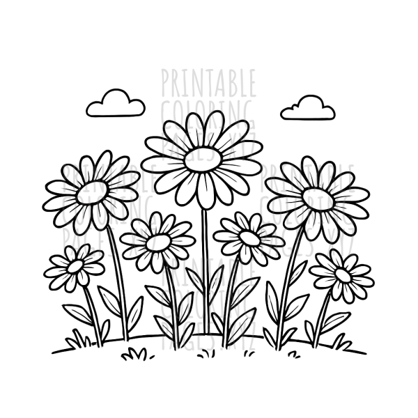 Sunny Field of Blooming Daisies