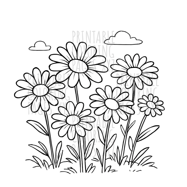 Sunlit Field of Blooming Daisies