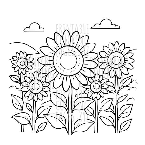 Sunny Day in a Field of Sunflowers