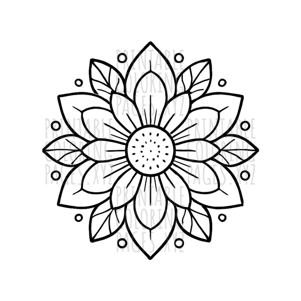 Intricate Flower Mandala Art for Creative Coloring