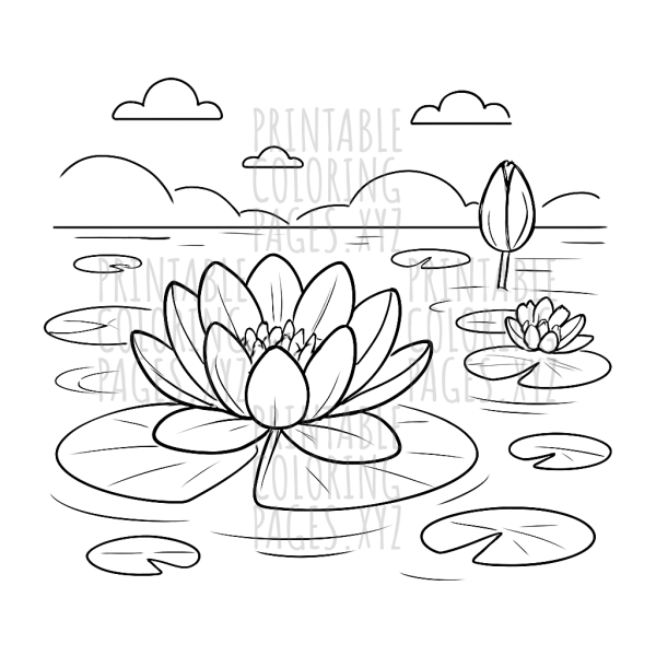 Serene Lily Pond Adventure