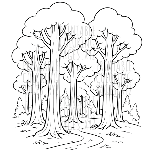 Whispering Woods Adventure
