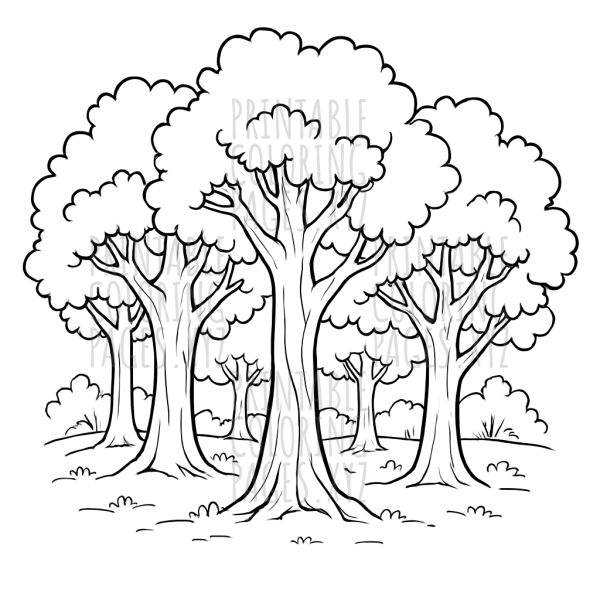 Serene Forest Adventure with Tall Oak Trees