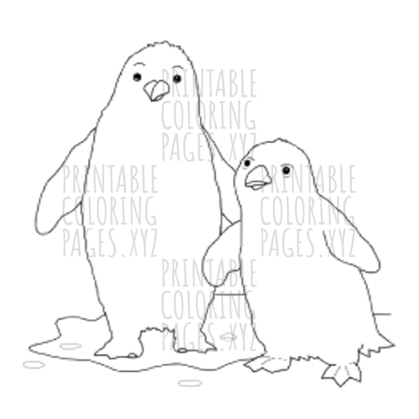 Chilly Adventures with Frozen Arctic Penguins