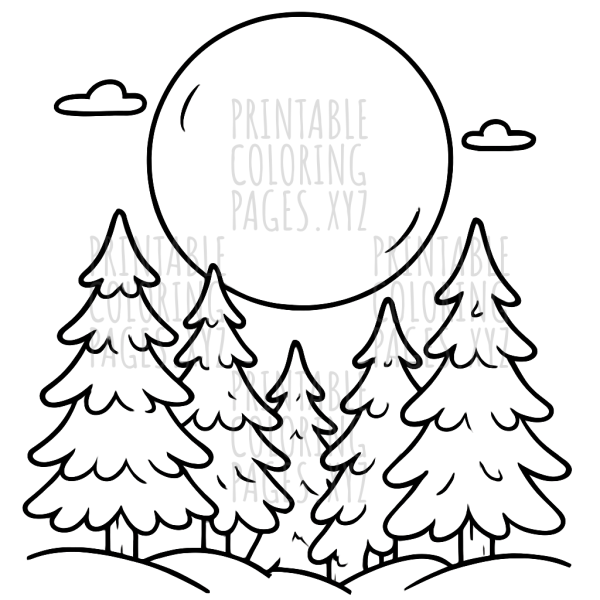 Mystical Full Moon Night in the Forest