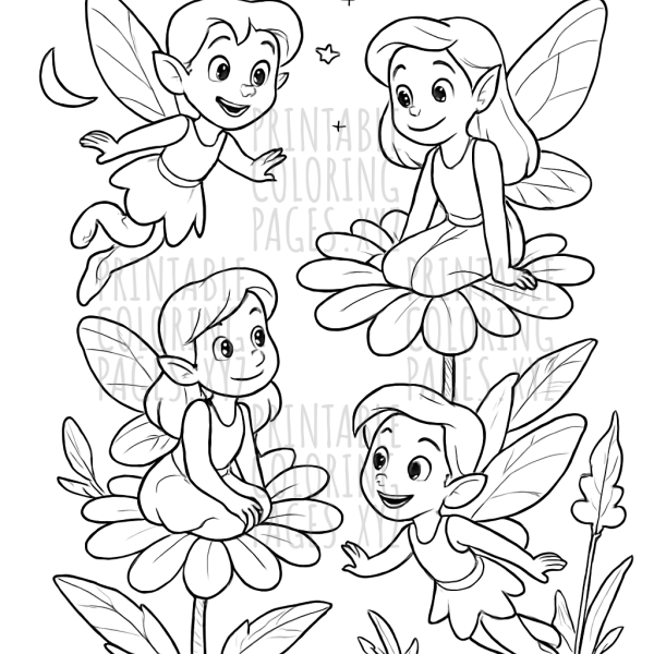 Magical Garden Fairies at Dusk Adventure