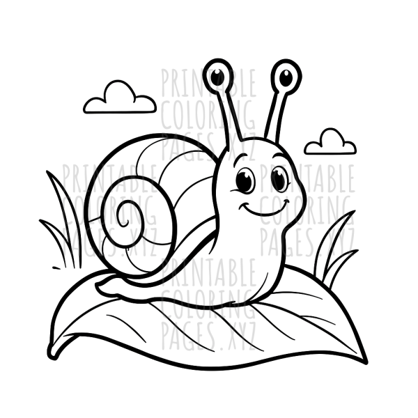 Curious Garden Snail on a Leaf Adventure
