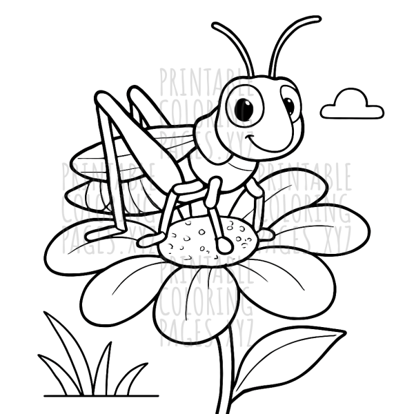 Grasshopper and Flower Adventure