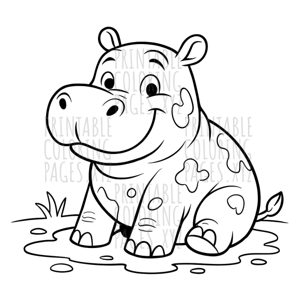 Mud Splash Hippopotamus Adventure