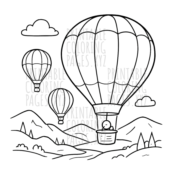Soaring Hot Air Balloons Above a Beautiful Valley