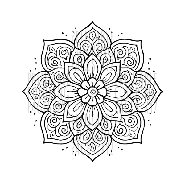 Intricate Mandala Magic