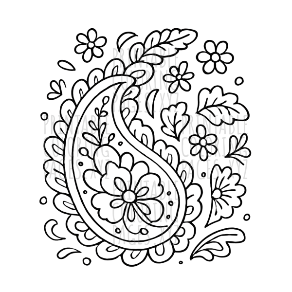 Intricate Paisley Patterns for Creative Coloring