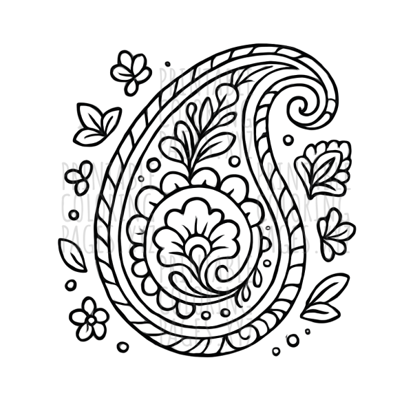 Elegant Intricate Paisley Patterns to Color and Create