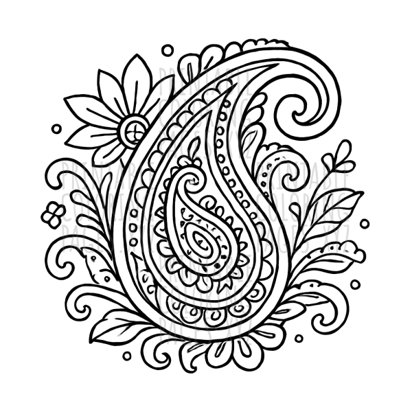 Whimsical Paisley Swirl Adventure