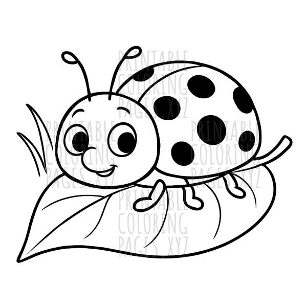 Charming Ladybug on Leaf Adventure