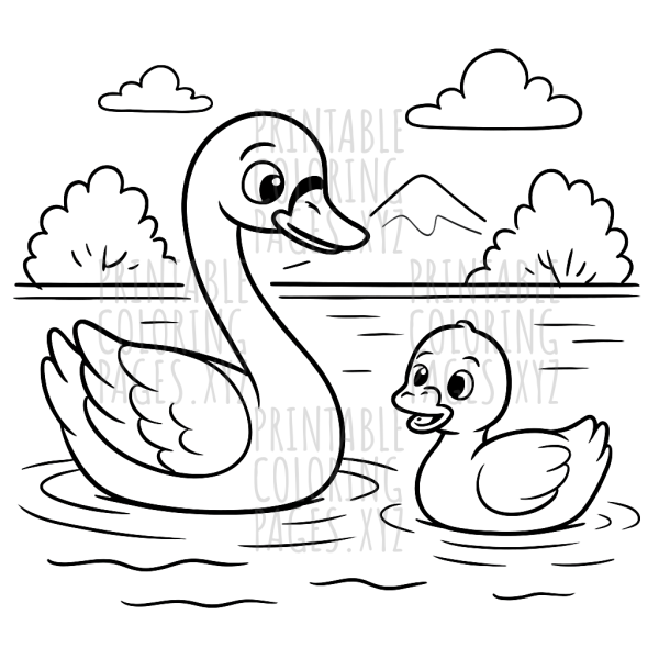 Serene Swans Gliding Over a Tranquil Lake