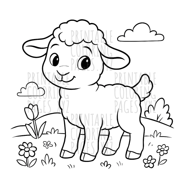 Springtime Lamb Adventure