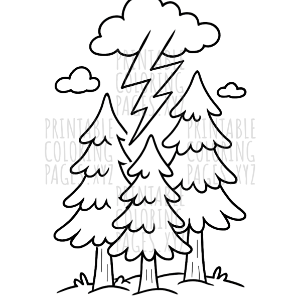 Lightning Strikes Tall Trees Adventure