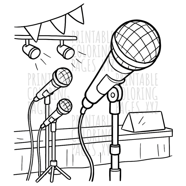 Concert Stage Microphones Adventure