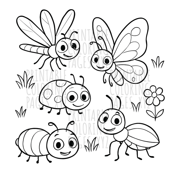 Incredible Insect Adventure