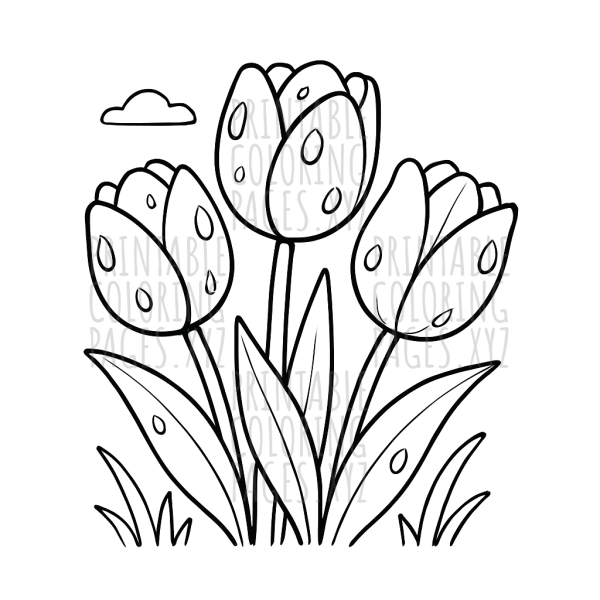 Fresh Morning Dew on Tulips Delight