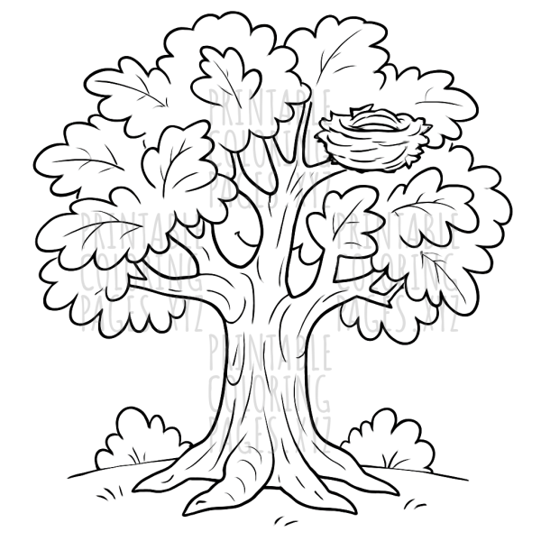 Majestic Old Oak Tree with Cozy Nest