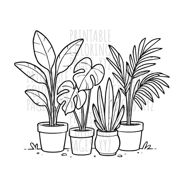 Lush Tropical Potted Plants Delight